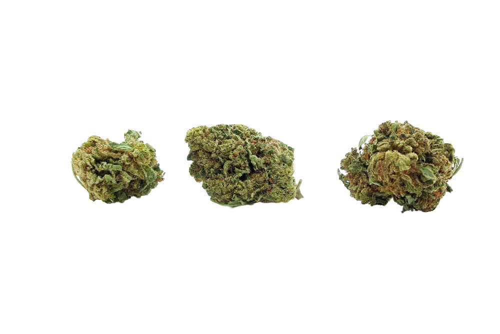 Super_Skunk_Small_Buds_CBD_Premium_Pas_Cher_Bon_plan_8425