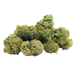 Gelato + Small Buds CBD