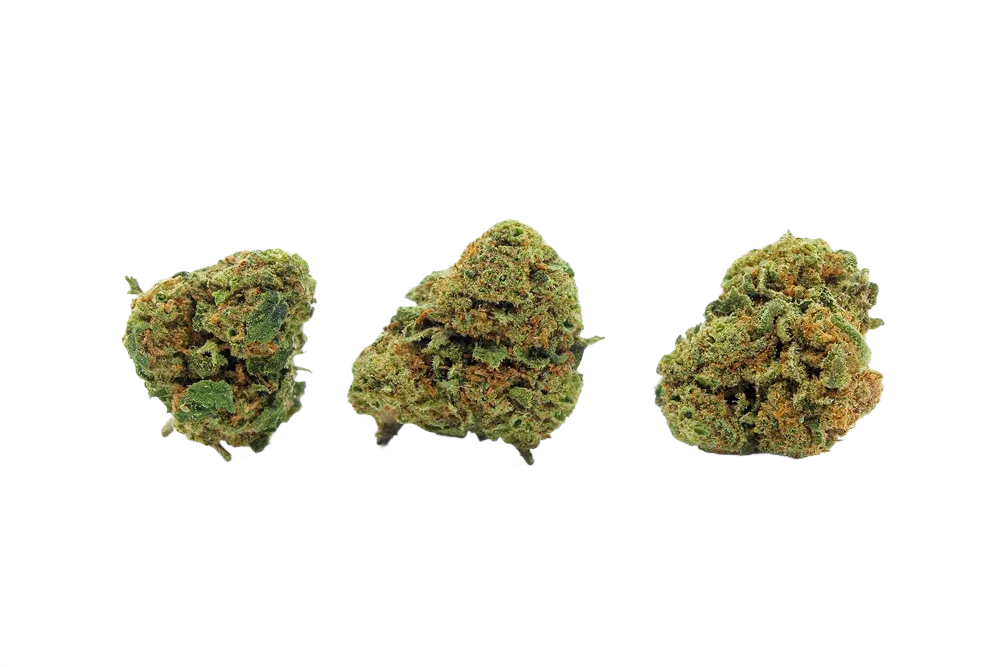 Gelato_Small_Buds_CBD_Premium_Pas_Cher_Bon_plan_8464