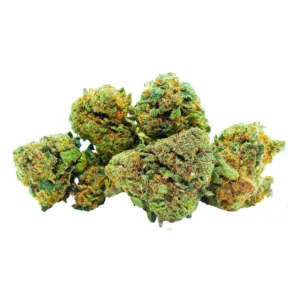 Gelato + Small Buds CBD