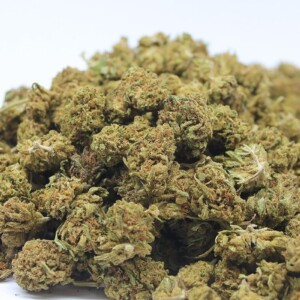 Swiss Cheese Mini buds CBD