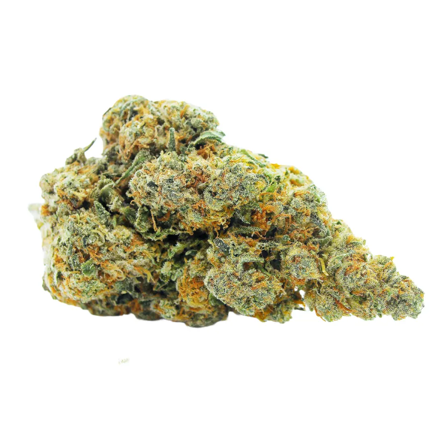 Amnesia_Haze_JSH_Big_Buds_Cali_Hydro_CBD_Pas_Cher_8246 copie