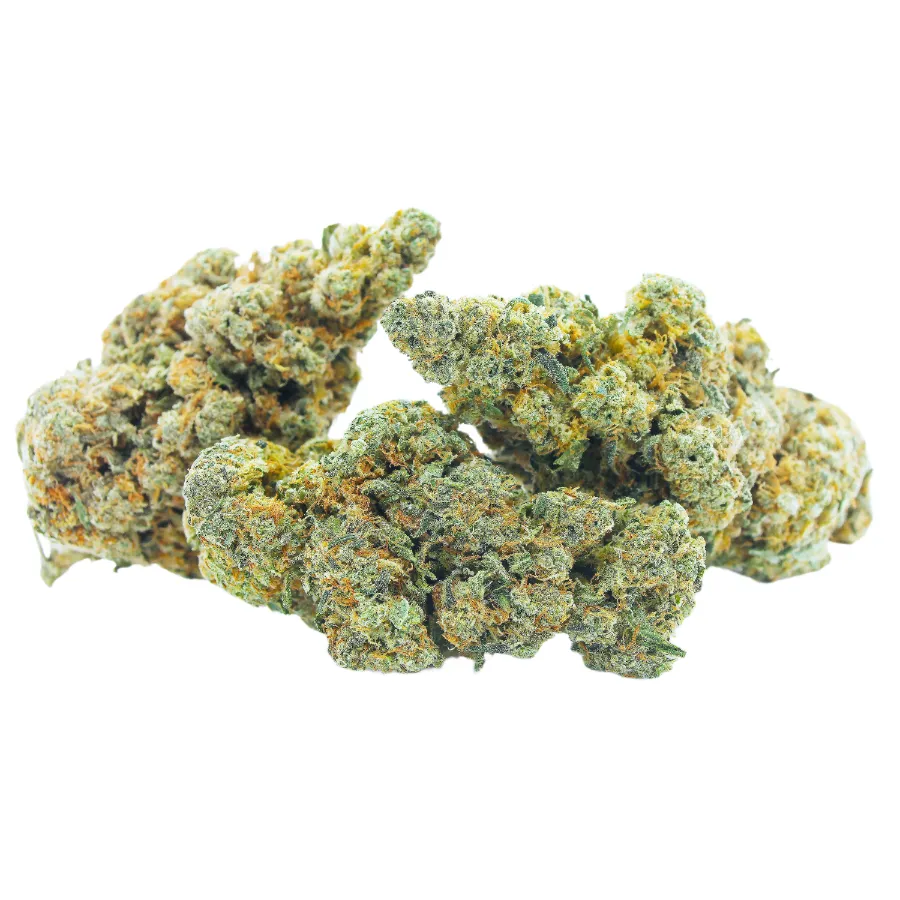 Amnesia_Haze_JSH_Big_Buds_Cali_Hydro_CBD_Pas_Cher_8256 copie