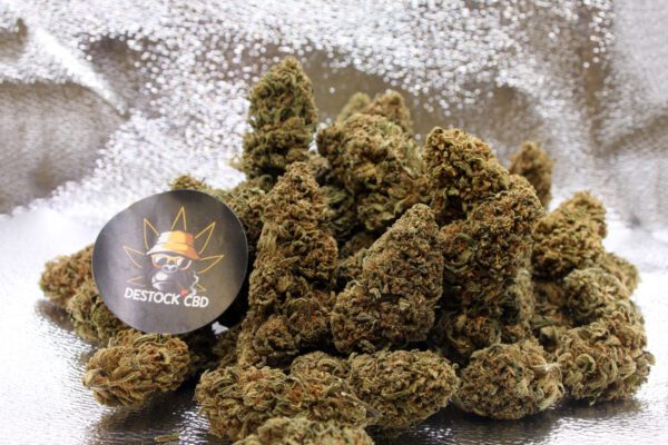 Northen light Greenhouse - Destock CBD