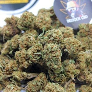 Orange_Buds_Mini_buds_CBD2