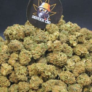 Plutonium Mini buds
