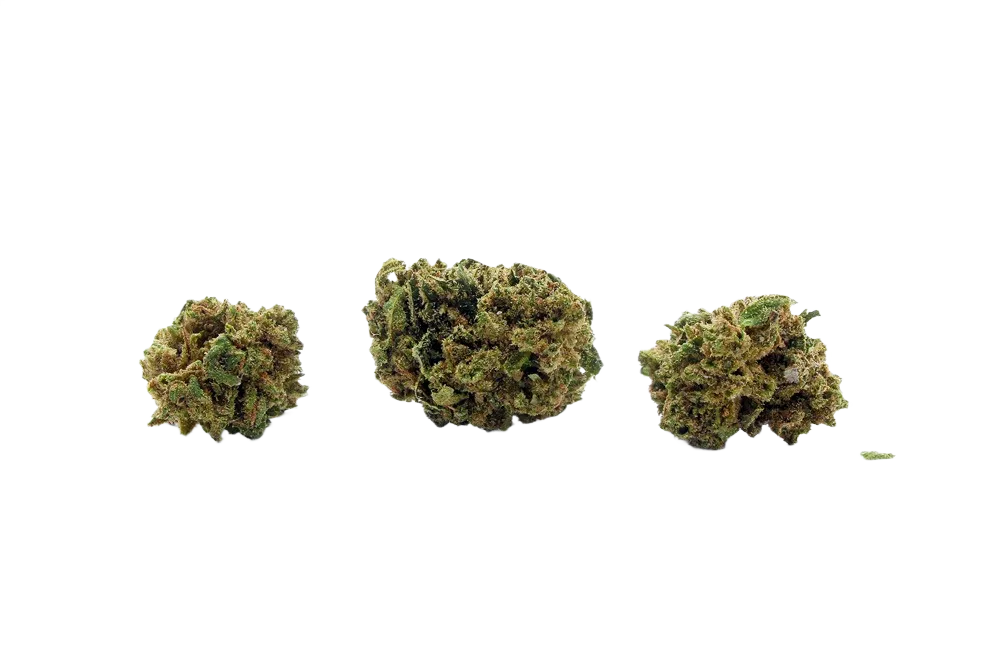 Mango_Kush_Mini_Buds_CBD_Premium_Pas_Cher_Bon_plan_8542