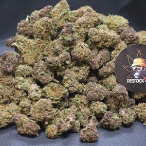 Berry-Kush-Small-Buds_CBD