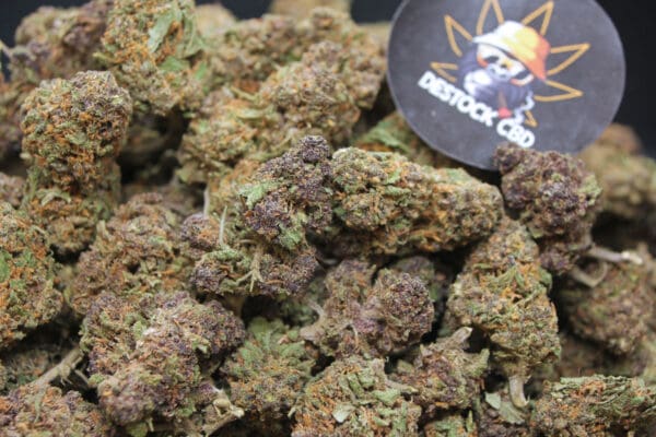 Berry Kush Small buds