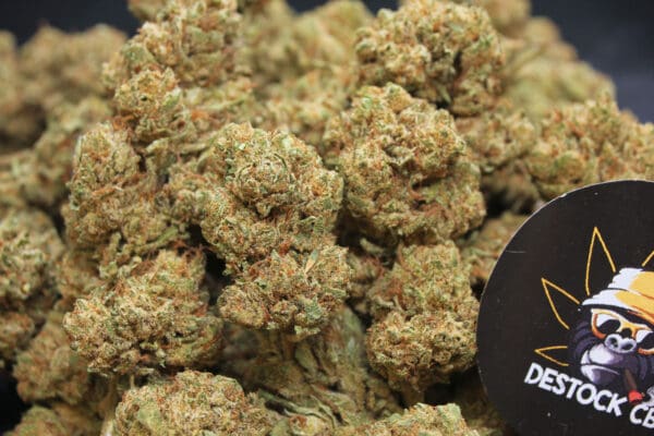 Super-Critical-big-Buds-INDOOR_CBD