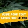 Guide pour tout savoir sur le CBN-DestockCBD