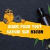 Guide pour tout savoir sur le H3CBN-DestockCBD