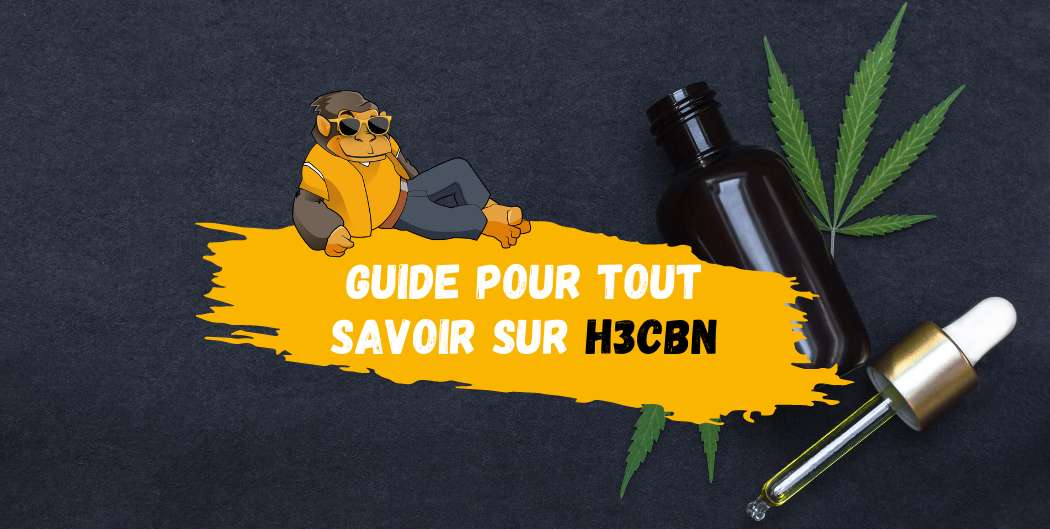 Guide pour tout savoir sur le H3CBN-DestockCBD