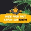 Guide pour tout savoir sur le HHCPO-DestockCBD