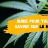 Guide pour tout savoir sur le HSD-DestockCBD