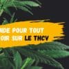 Guide pour tout savoir sur le THCV-DestockCBD