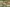 E liquide CBD : Choix, dosage et astuces de conservation