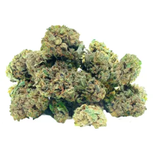 Orange buds Small Buds CBD