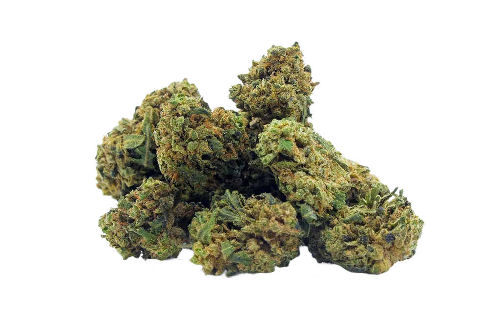 Orange_Buds_Small_Buds_CBD_Premium_Pas_Cher_Bon_plan_8511