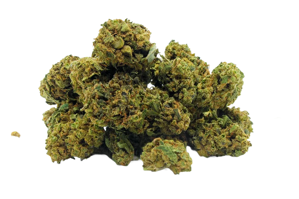 Orange_Buds_Small_Buds_CBD_Premium_Pas_Cher_Bon_plan_8514