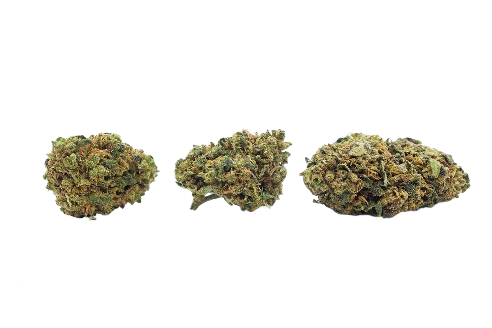 Orange_Buds_Small_Buds_CBD_Premium_Pas_Cher_Bon_plan_8521