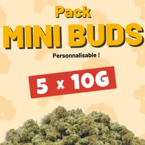Pack mini buds CBD 5x10gr