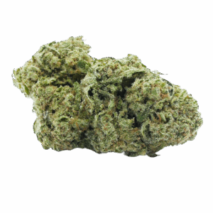 Plutonium Indoor