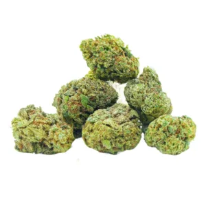 Plutonium Small buds