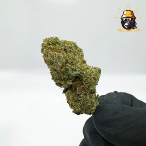 Big-Buddha-Cheese-Big-Buds-Indoor-2_CBD