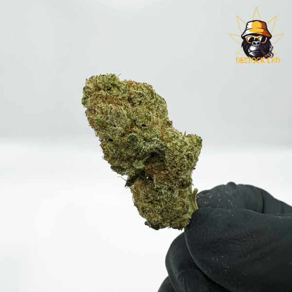 Big-Buddha-Cheese-Big-Buds-Indoor-2_CBD