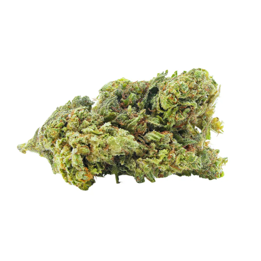 Big_Buddha_Cheese_Big_Buds_Indoor_CBD_Pas_Cher_8293 copie