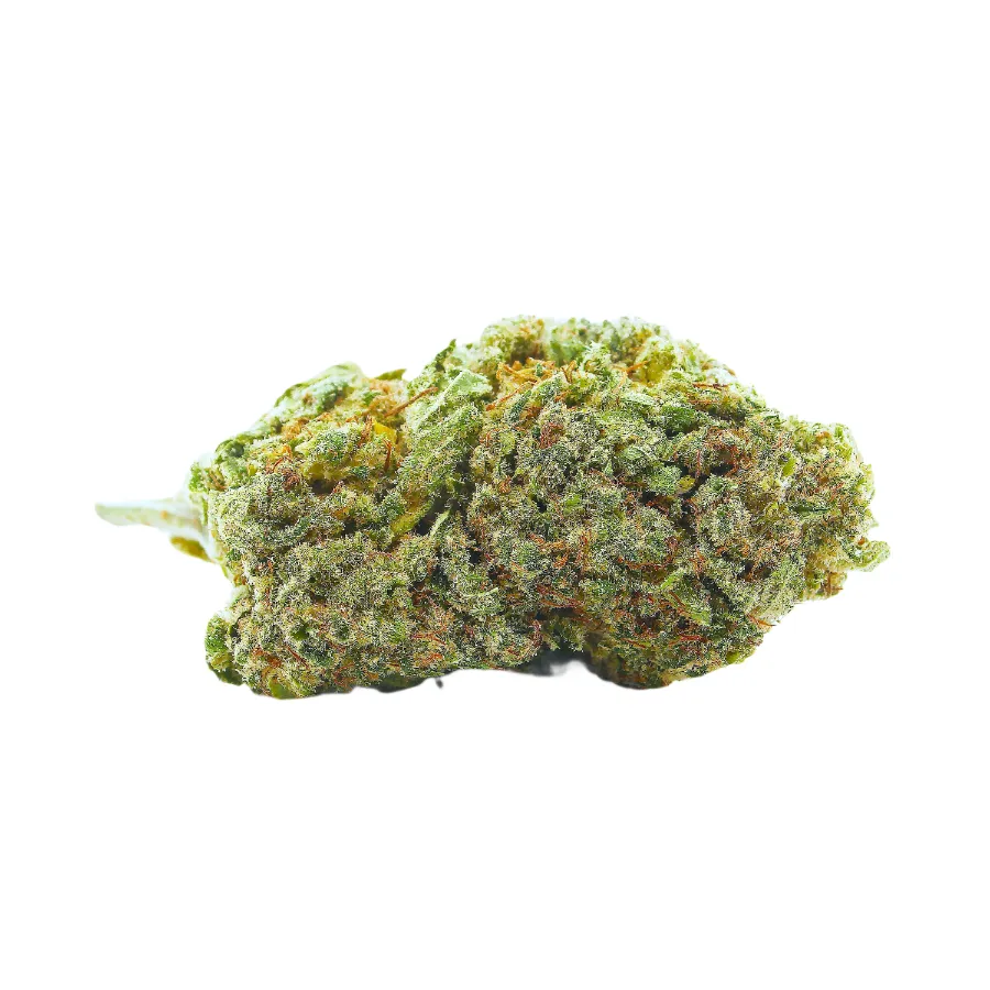 Big_Buddha_Cheese_Big_Buds_Indoor_CBD_Pas_Cher_8295