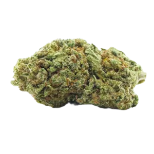 Big Buddha Cheese Indoor