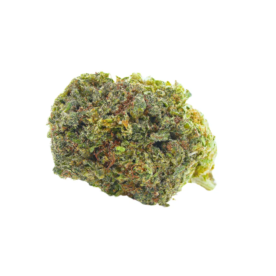 Big_Buddha_Cheese_Big_Buds_Indoor_CBD_Pas_Cher_8301 copie