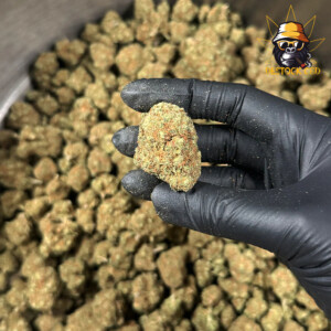 Blood-Orange-Sorbet-Big-Buds-Indoor-1_CBD