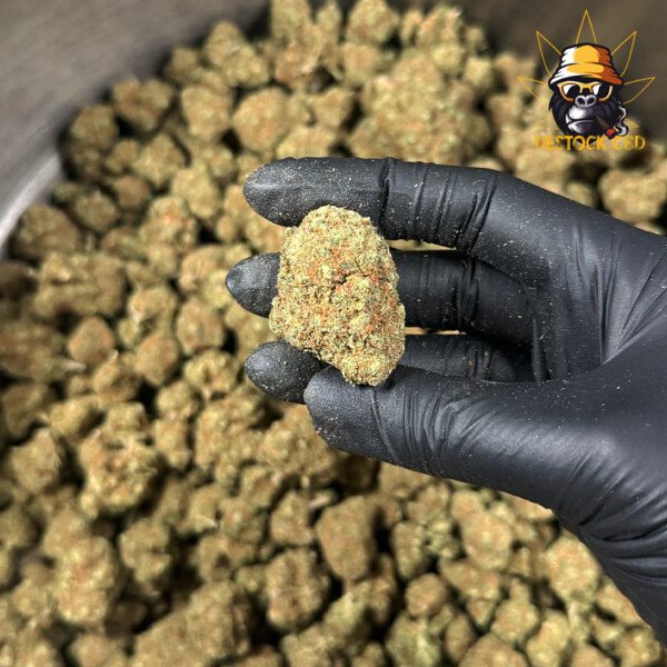 Blood-Orange-Sorbet-Big-Buds-Indoor-1_CBD