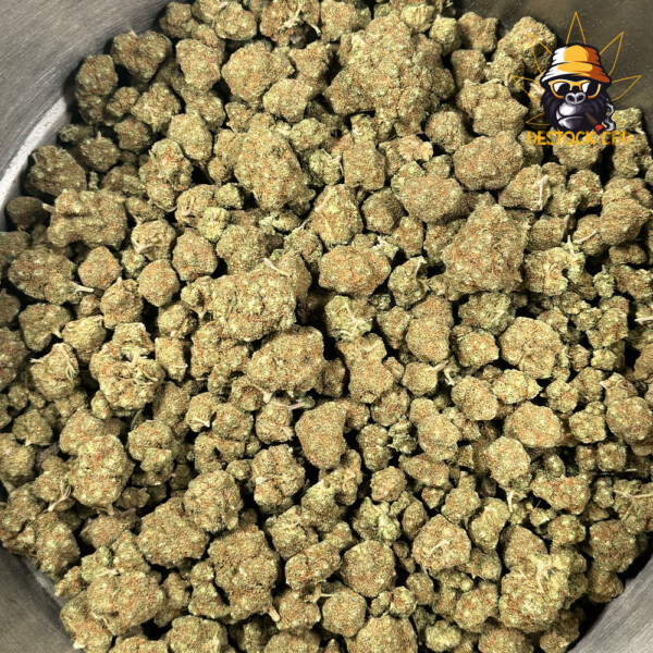 Blood-Orange-Sorbet-Big-Buds-Indoor-2_CBD
