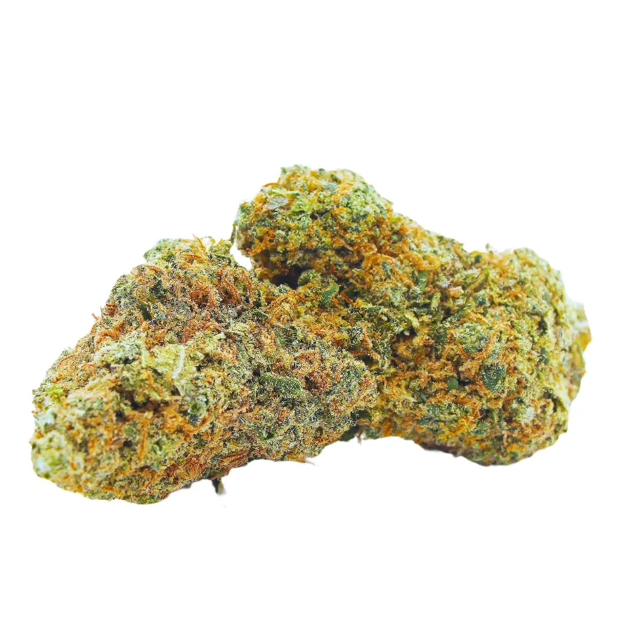 Blood Orange_Sorbet_Big_Buds_Indoor_CBD_Pas_Cher_8321 copie