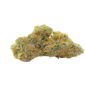 Blood Orange Sorbet Indoor