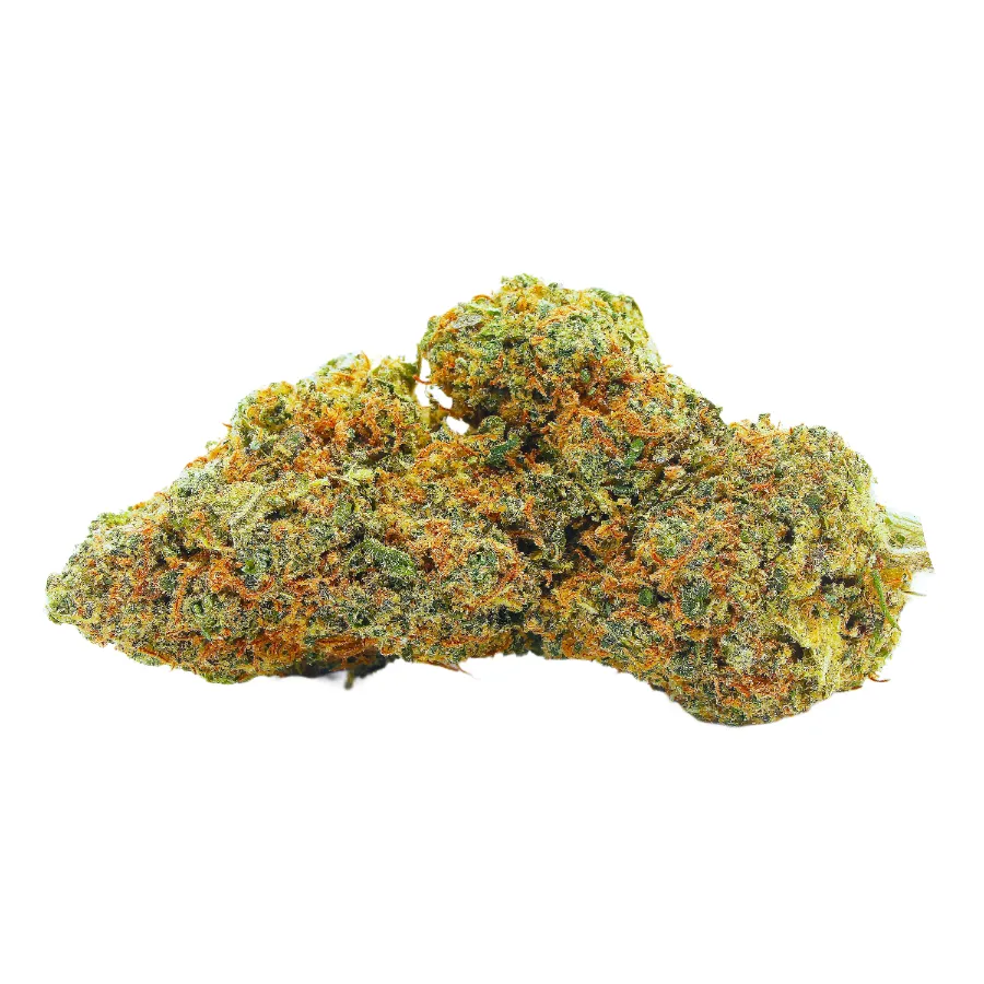 Blood Orange_Sorbet_Big_Buds_Indoor_CBD_Pas_Cher_8325 copie