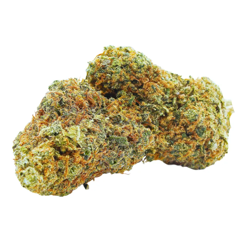 Blood Orange_Sorbet_Big_Buds_Indoor_CBD_Pas_Cher_8327 copie