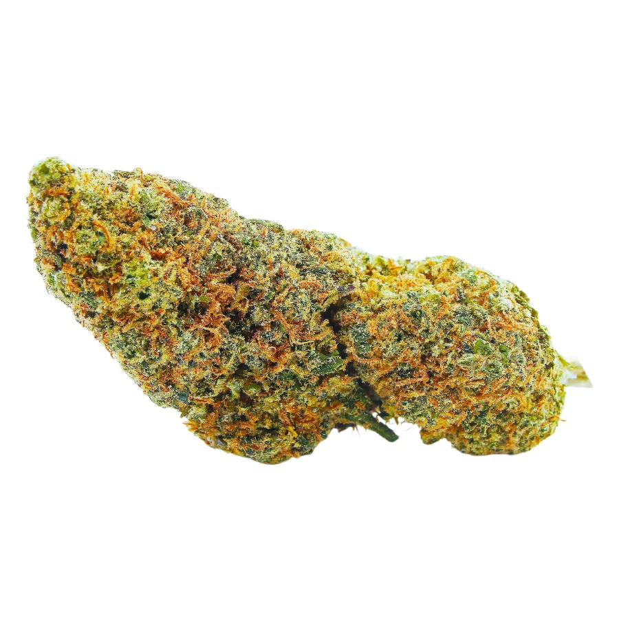 Blood Orange_Sorbet_Big_Buds_Indoor_CBD_Pas_Cher_8328 copie