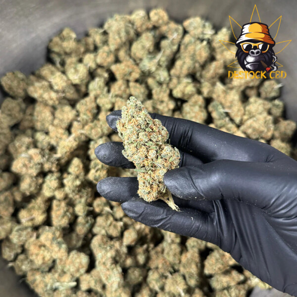 Blueberry-Muffin-Big-Buds-Indoor-1_CBD