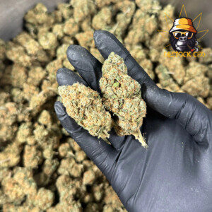 Blueberry-Muffin-Big-Buds-Indoor-2_CBD