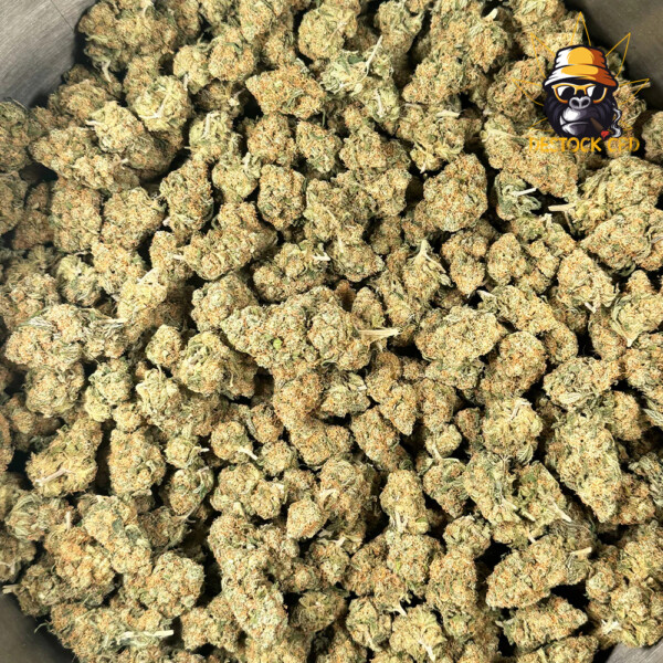 Blueberry-Muffin-Mini-Buds-Indoor_CBD