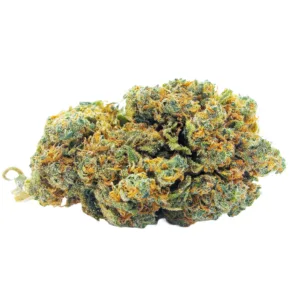 Blueberry Muffin Indoor
