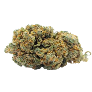 Blueberry Muffin Indoor