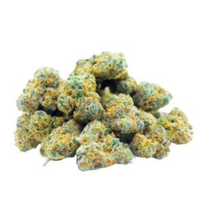 Blueberry Muffin Mini buds Indoor