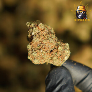 Sunset-Sherbet-Big-Buds-Indoor_CBD