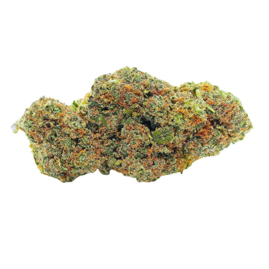 Sunset_Sherbet_Big_Buds_Indoor_CBD_Pas_Cher_8316 copie